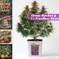 Preview: Grow Bucket Super Soil organic